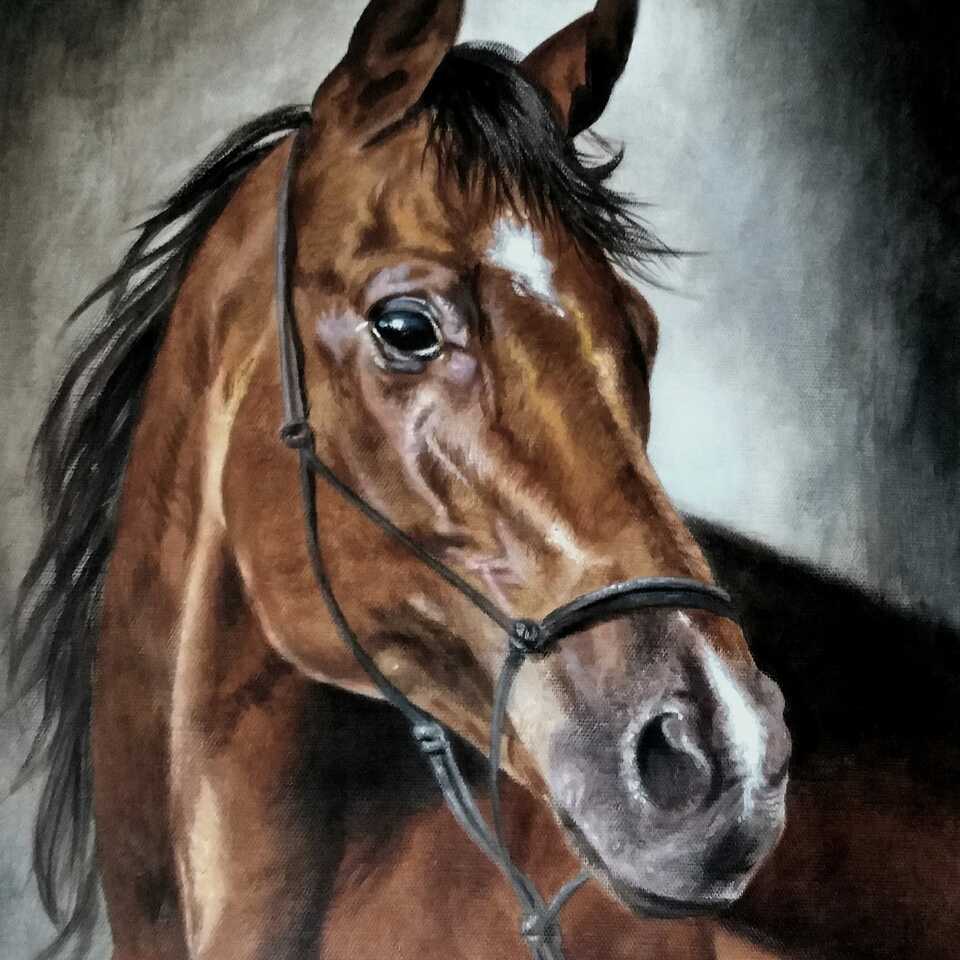 Portrait of a Chestnut, 2019, Oil on canvas, 50x40cm