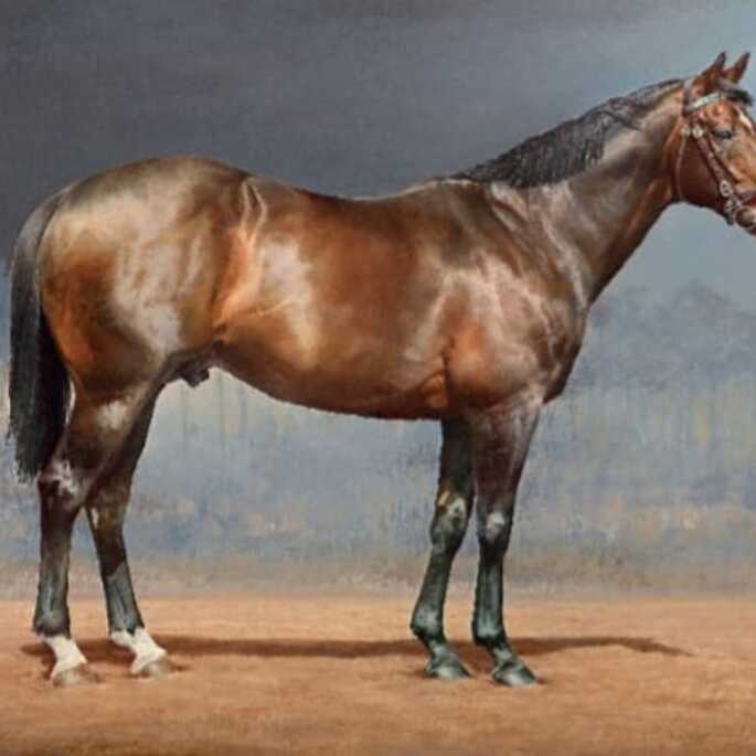 Chestnut Stallion in Profile, 2010, Oil on canvas, 60x90cm