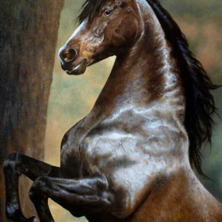 Andalusian Horse,  2002 Oil on canvas, 70x45cm