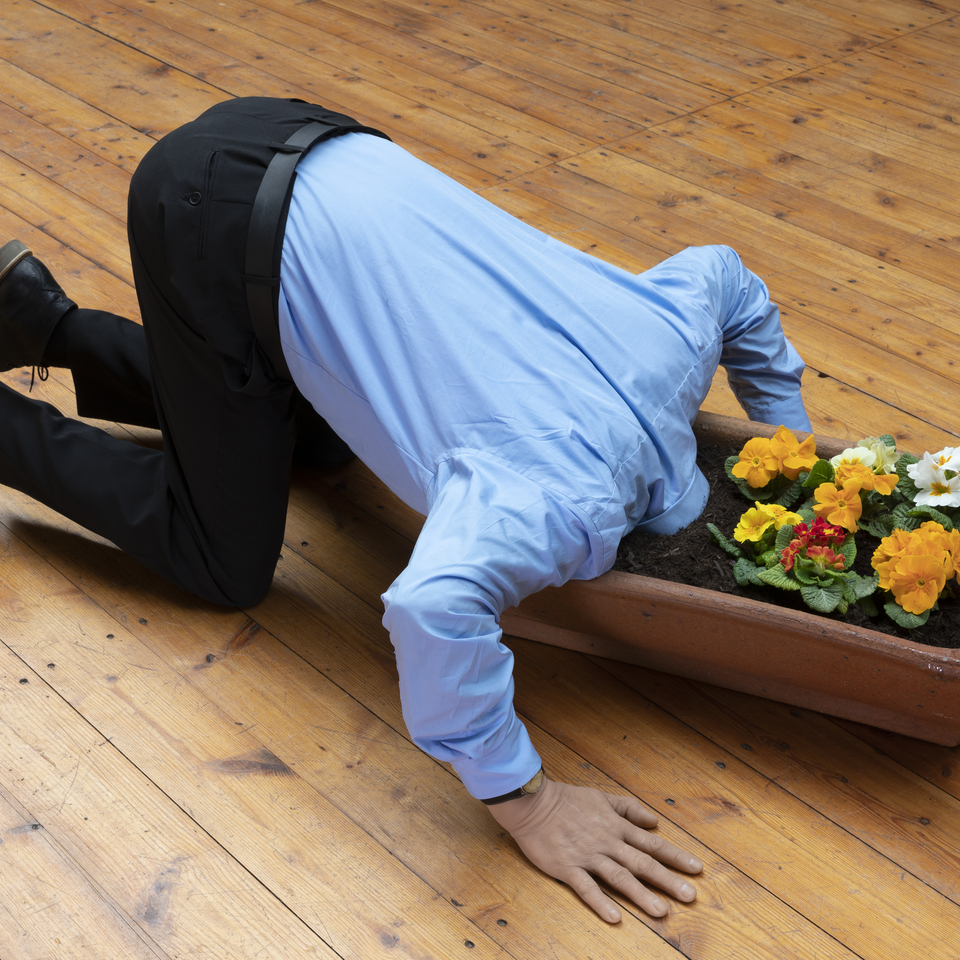 We alrady know the Sky, 2019, Cloth, Silikon. Flowerpot, Earth,  180 x 100 cm