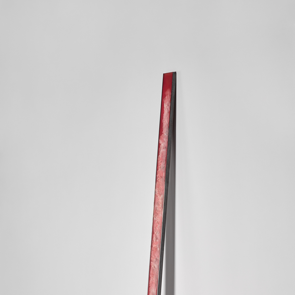 Snake shed, Resin, steel, organic substance, 2023, 300x20cm, 8kg