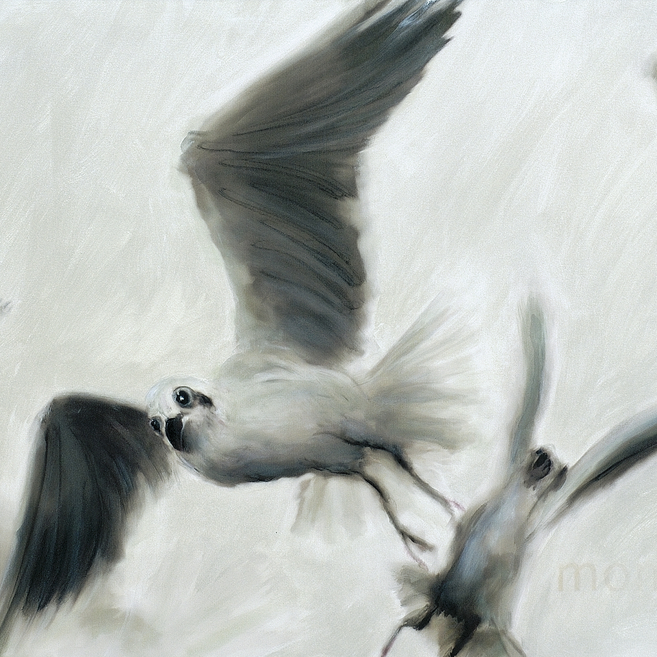 Airborn51, HITCHCOCKS BIRDS  2002-2007  computer aided painting  canvas  alustretch  120x320x4cm, unique